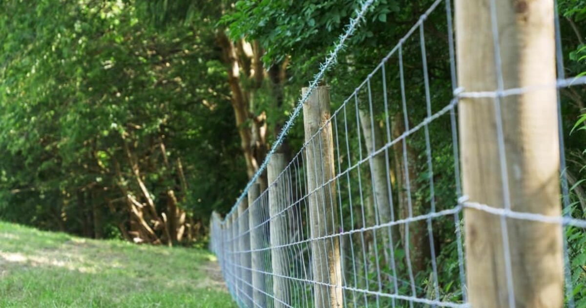 Dafydd Fencing Livestock & Animal Fencing
